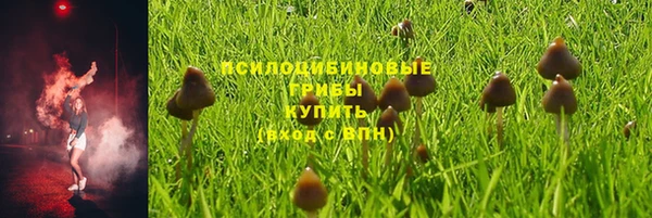 тгк Абдулино