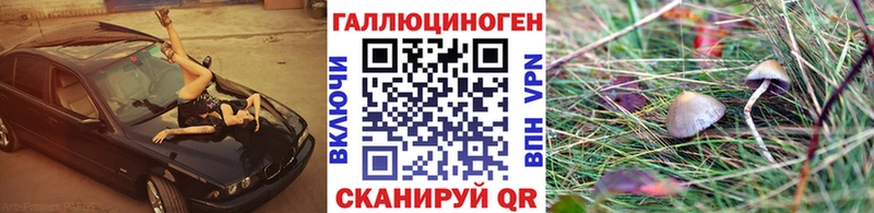 Галлюциногенные грибы Cubensis  как найти   Чулым 